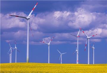 Windkraftanlagen drehen sich hinter einem blühenden Rapsfeld in einem Windpark.