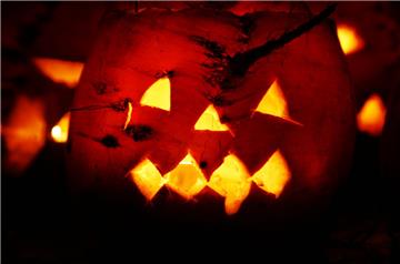 Ein Wulsdorfer Ehepaar bekam am Halloween-Abend ungebetenen Besuch.