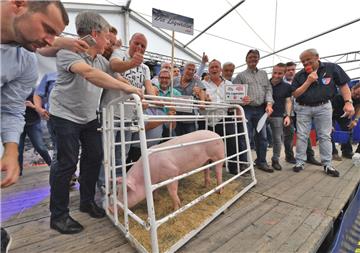 Dedesdorfer Markt mit Schweinemarkt und Wahl zur Marktkönigin. "Die Legenden" haben Jolanthe ersteigert.