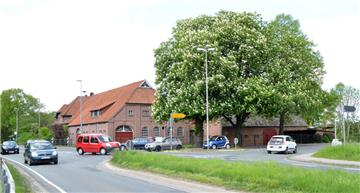 Den Bau eines Kreisels in Nesse für die Einmündung der Landesstraße 143 in die Landesstraße 135 (ehemalige B6) fordert die CDU Loxstedt. Doch die Straßenbaubehörde in Stade winkt ab. 