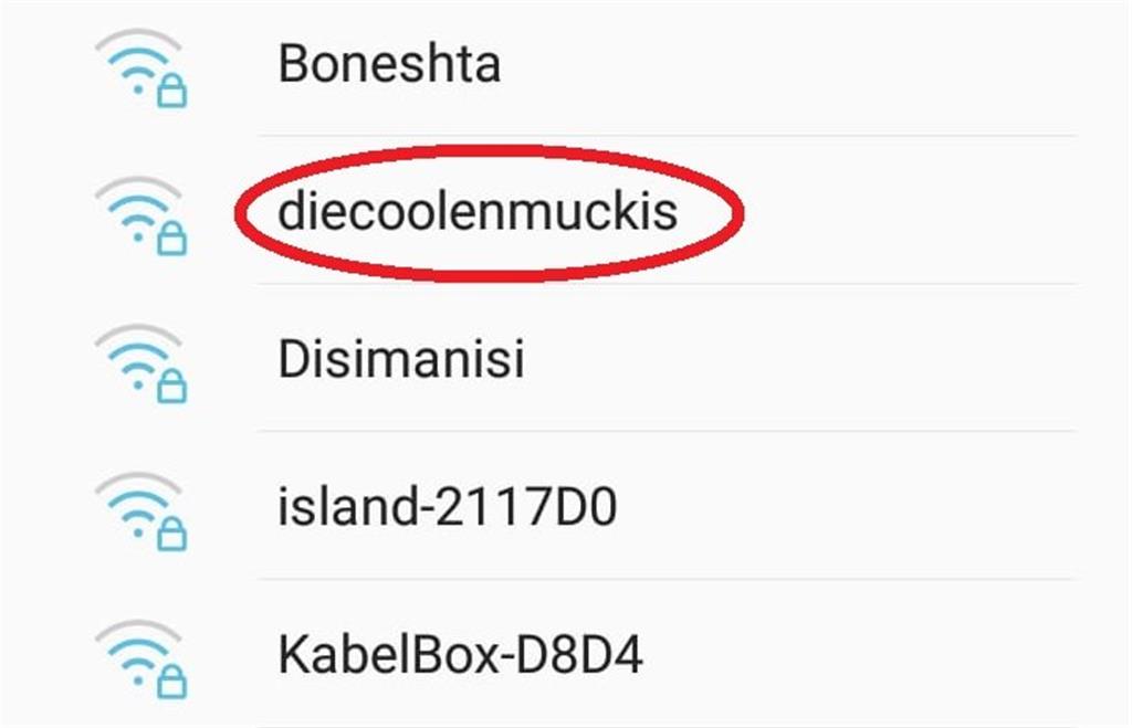 Den Besitzern dieses Routers will man wohl eher nicht nachts auf offener Straße begegnen. - Screenshot: Overschmidt