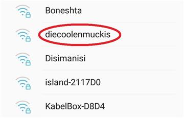Den Besitzern dieses Routers will man wohl eher nicht nachts auf offener Straße begegnen. - Screenshot: Overschmidt
