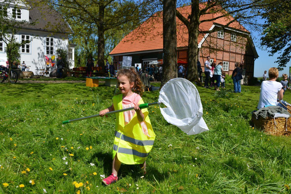 Den Schmetterlingen auf der Spur: Wie die kleine Gianna nutzten viele Kinder und ihre Eltern den langen Tag der StadtNatur in Bad Bederkesa um die Natur einmal ganz bewusst zu erleben.