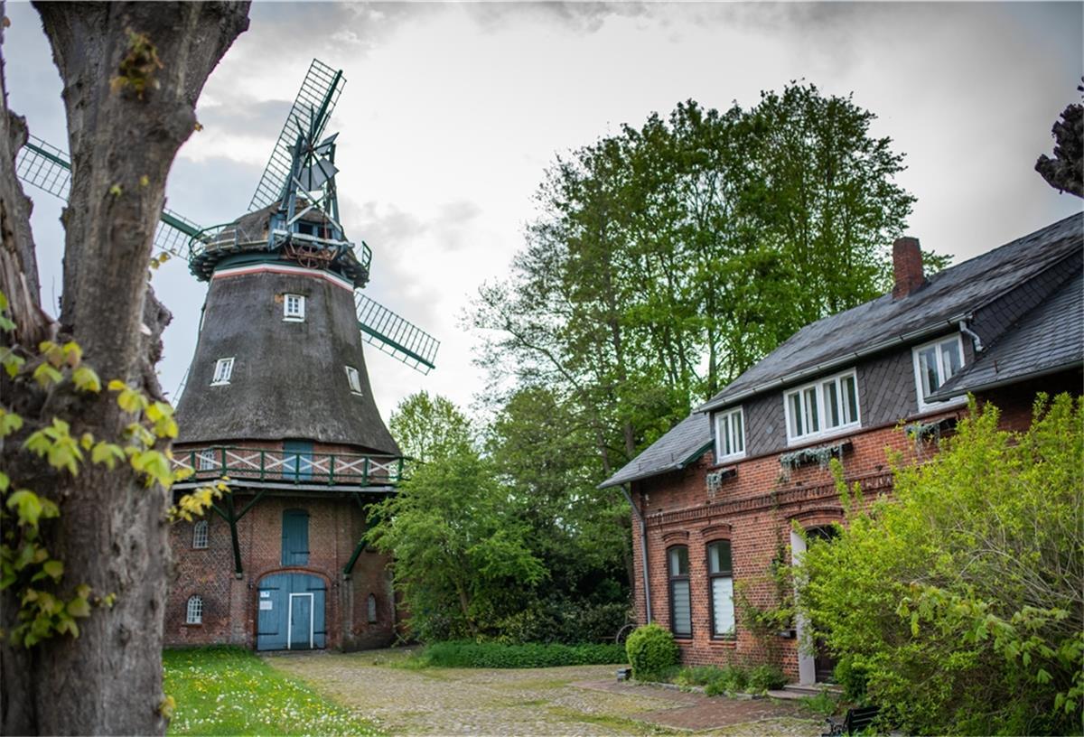 Cuxland: So kreativ wohnt ein Filmemacher im Mühlenhaus Dennis Vogt will in seinem Mühlenhaus in Beverstedt seine Träume verwirklichen und Veranstaltungen organisieren.