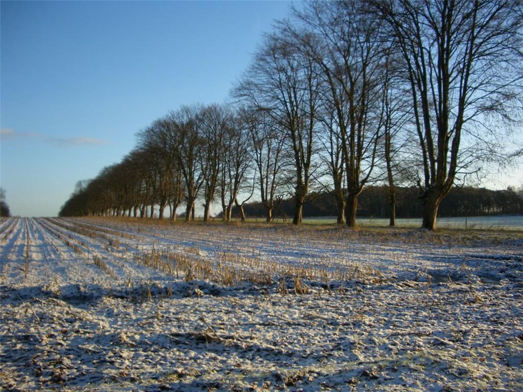 Der ausgezeichnete Privatweg in Driftsethe: Reise durch die Jahreszeiten. Foto: ...