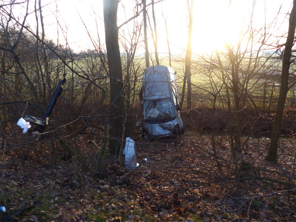 Der Autofahrer blieb mit seinem Wagen in einem Baum hängen. Foto: Polizei