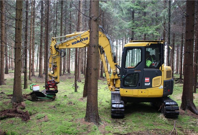 Im Großenhainer Holz soll die Weißtanne wachsen Der Bagger zieht seine Furchen, aus den Behältern am Ausleger fällt die Weißtannensaat auf den Boden.