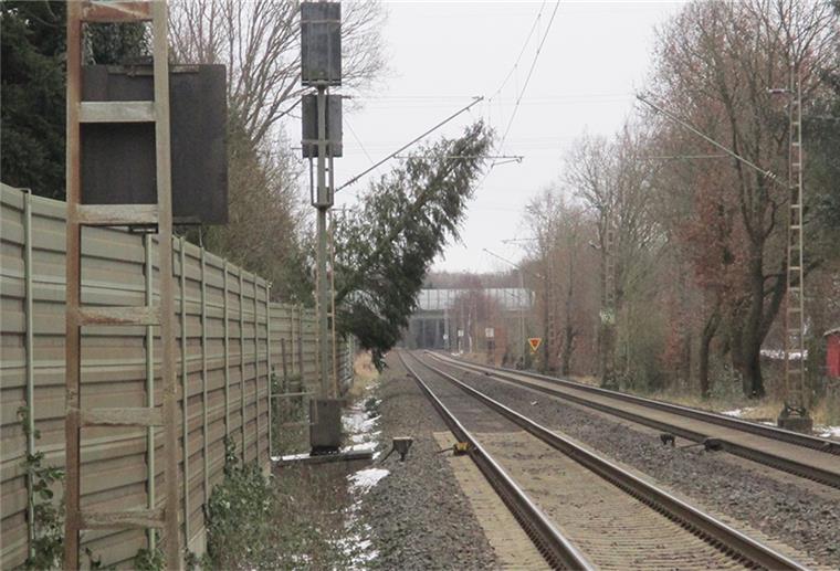 Der Baum drohte im Bereich der Poggenbruchstraße in Bremerhaven-Wulsdorf auf die Bahnschienen zu stürzen.