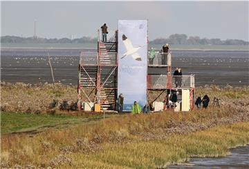 Der Beobachtungsturm am Vareler Hafen wird extra für die Dauer der Zugvogeltage aufgebaut. Ganztags sind Experten vor Ort, die hochwertige Optik dabei haben und Fragen der Besucher beantworten.