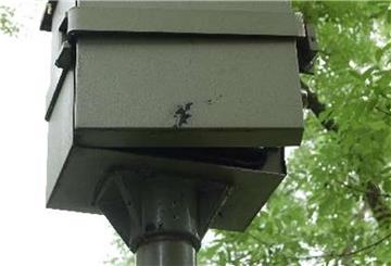Der Blitzer an der B71 bei Heerstedt wurde zerstört.