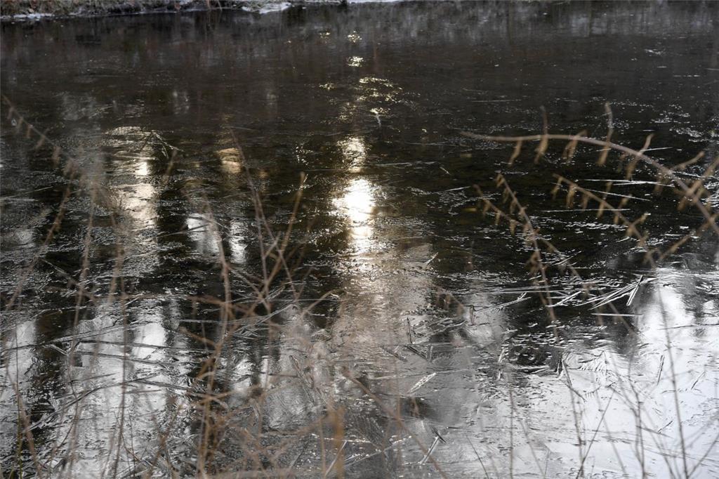 Der Bootsteich im Speckenbütteler Park ist von einer dünnen Eisschicht bedeckt.