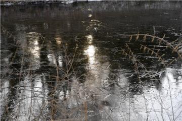 Der Bootsteich im Speckenbütteler Park ist von einer dünnen Eisschicht bedeckt.