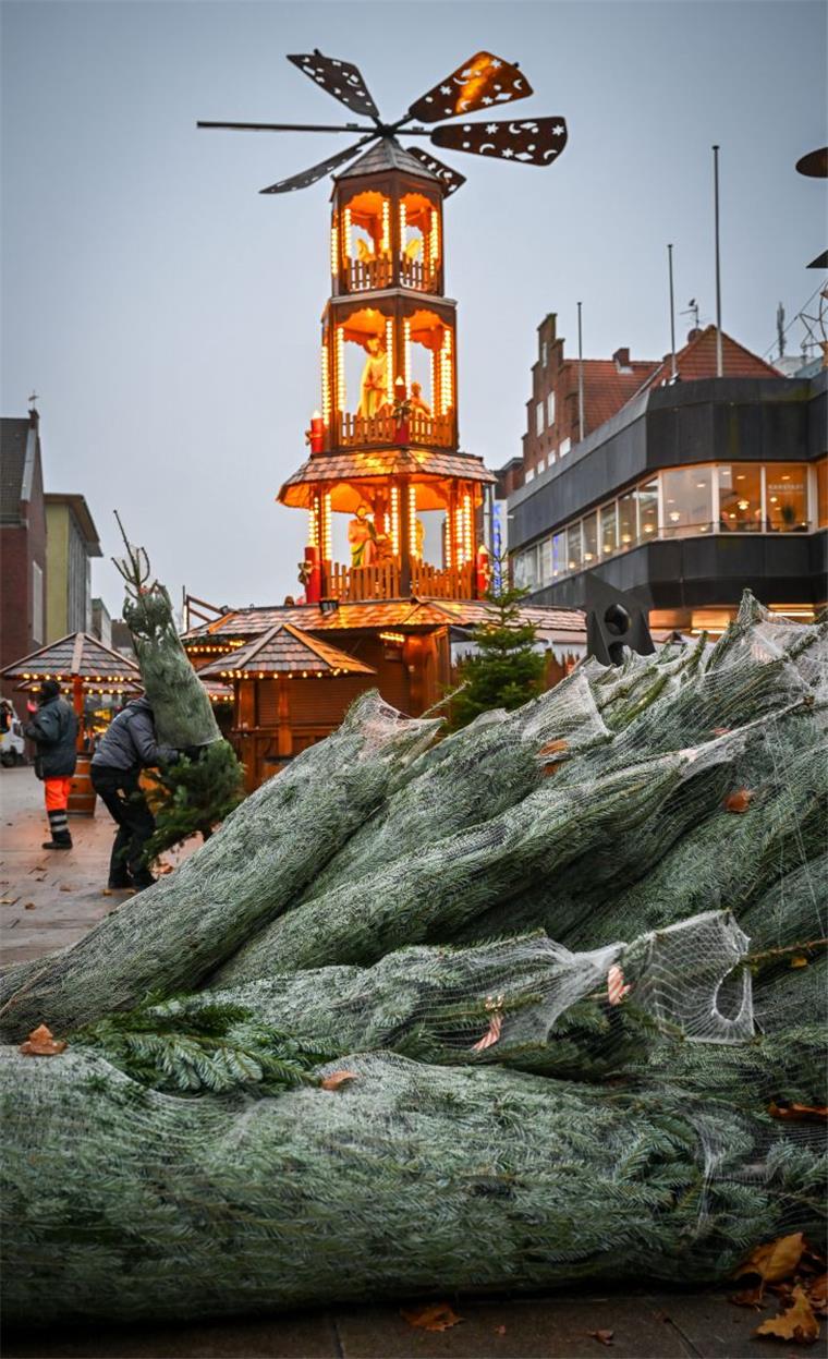 Der Bremerhavener Weihnachtsmarkt bereitet sich auf das morgige Anleuchten vor dem eigentlichen Start am Montag vor.