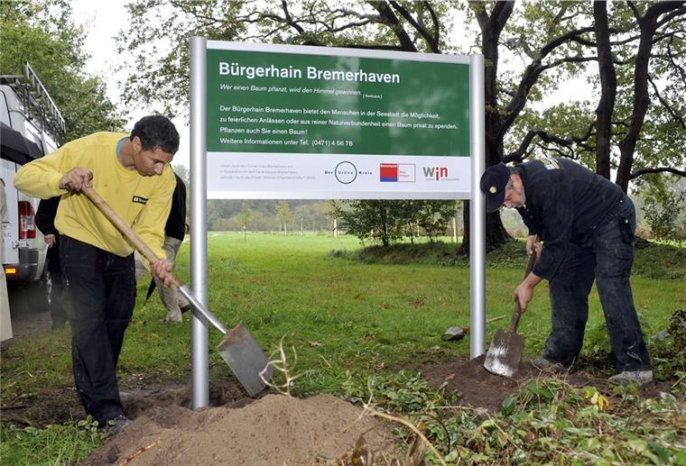 Neue Aue: Bremerhaven will Bürgerhain anlegen Der Bürgerhain ist 2010 eröffnet worden.