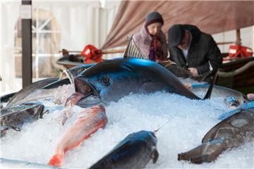 Der dekorative Thunfisch ist der Hingucker auf dem Eisbett.