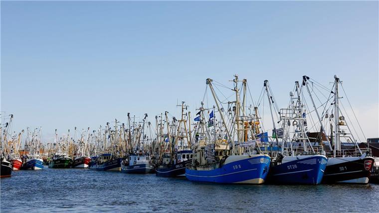 Der Dialog zur Krabbenfischerei im schleswig-holsteinischen Wattenmeer ist vorerst gescheitert. (Archivbild)
