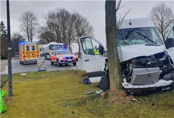 Der Fahrer des Sprinters kam am Freitag auf der B71 von der Straße ab und krachte gegen einen Baum. 