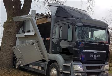 Der Fahrer und die transportierten Rinder wurden bei dem Unfall nicht verletzt.