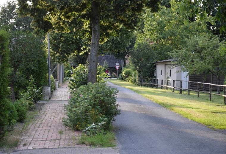 Rhade: „Wir müssen einen guten Kompromiss finden“ Der Fußweg in der Rhader Straße In den Wiesen ist aufgrund von Stolperfallen kaum noch passierbar. Daher soll er jetzt ersetzt werden. Die Bäume, die nach dem ursprünglichen Ratsbeschluss eigentlich fallen sollten, bleiben nun überwiegend stehen.
