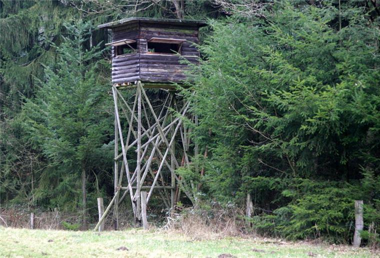 Ein Hochsitz steht am Dienstag (12.02.2008) im Wald. Zwei Jäger fanden am Freitag (08.02.2008) die mumifizierte Leiche eines 58-Jährigen auf diesem Hochsitz in der Nähe des Uslarer Ortsteils Schlarpe (Landkreis Northeim). Der arbeitslose Mann aus Hannover ist in einem Waldstück im Solling offenbar aus freien Stücken verhungert. Der Mann sei nach den bisherigen Untersuchungen vermutlich bereits vor rund zwei Monaten gestorben, teilte die Polizei am Dienstag mit. Foto: Hubert Jelinek dpa/lni +++ d