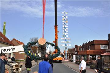 Der größte Maibaum Deutschlands ist am Sonntag in Abbehausen abgenommen worden. Am Himmelfahrtswochenende kommt der Nachfolger.