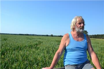 Der Herr des Maislabyrinths: Landwirt Hans-Heinrich Heins vor seinem Irrgarten.
