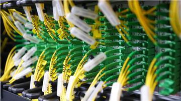 Der internationale Internetverkehr ist im vergangenen Jahr deutlich angestiegen