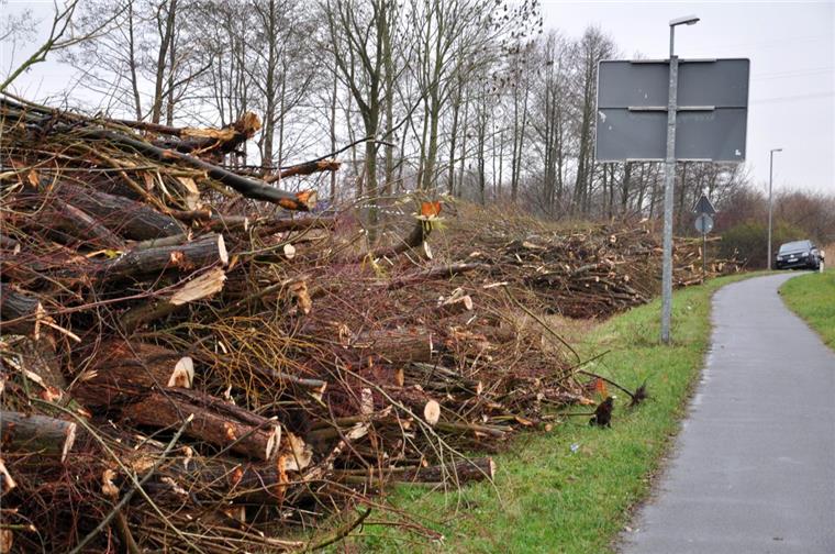 Der Kahlschlag, den die Straßenmeisterei zwischen Ellwürden und Atens in Auftrag gegeben hat, verärgert viele Nordenhamer.