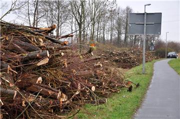 Der Kahlschlag, den die Straßenmeisterei zwischen Ellwürden und Atens in Auftrag gegeben hat, verärgert viele Nordenhamer.