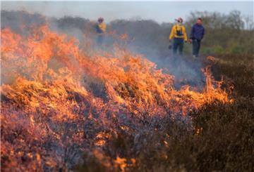 Der Klimawandel lässt die niedersächsischen Wälder austrocknen, die Waldbrandgefahr steigt. Das Land Niedersachsen will sich darauf vorbereiten.