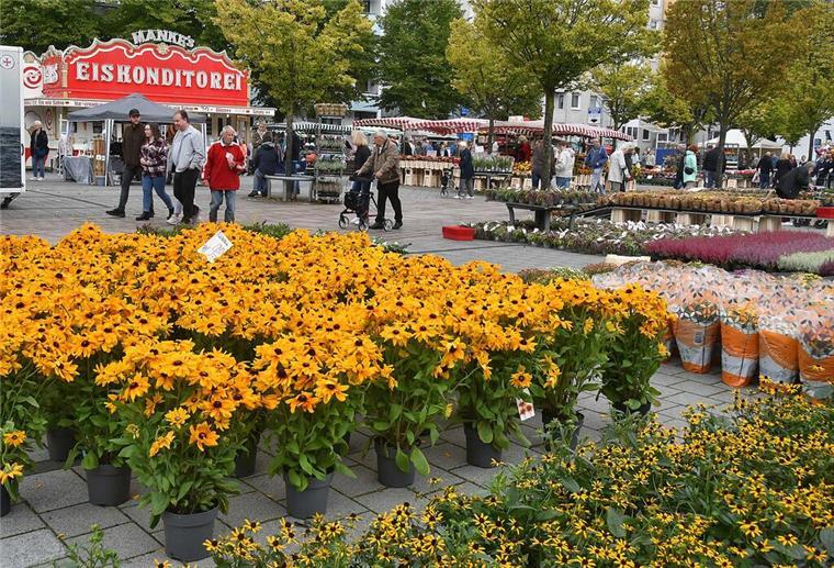 Geestemünde feiert beim Herbstfest Der Konrad-Adenauer-Platz wird wieder zum Blütenmeer.