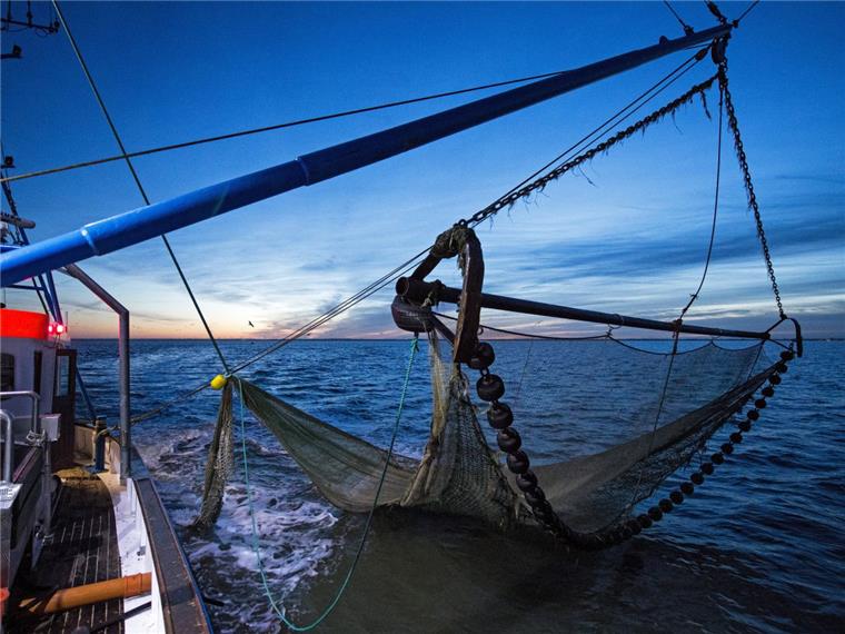 Der Krabbenkutter "Nixe II" fährt auf einer Fangfahrt durch die Nordsee.