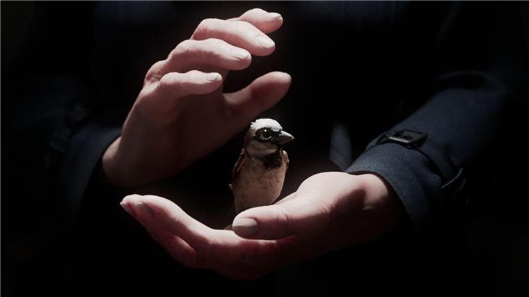 Studenten-Oscars: Deutscher Regisseur holt Gold Der Kurzfilm „A Sparrow’s Song“ gehört zu den großen Gewinnern der Preisverleihung.