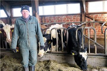 Der Landwirt Gerold Twele aus Esenshammergroden in seinem Stall. Ein Wolf hat eines seiner Kälber gerissen.