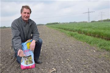 Der Landwirt Karsten Padeken hat ein Ziel: Auf diesem drei Meter breiten Streifen entlang des Grabens soll es schon bald grünen und blühen. Überall soll das Summen von Wildbienen zu hören sein. Wer ihn dabei unterstützen möchte, kann Pate werden. 