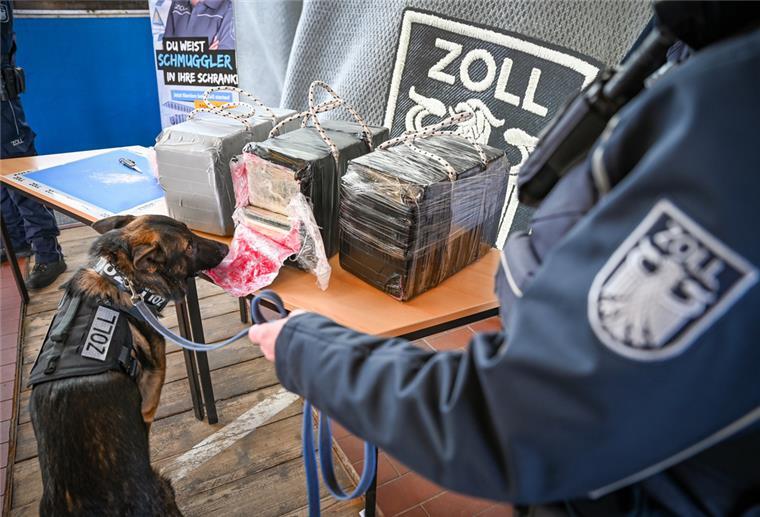 Jede Menge Drogen gefunden! Aber die Zollfahnder schweigen lieber Der letzte bekannt gewordene Erfolg des Zolls: 456 Kilogramm Kokain wurden Anfang 2022 im Überseehafen sichergestellt. Viele Funde behalten die Zollfahnder aber für sich, um die Täter aufzuspüren.