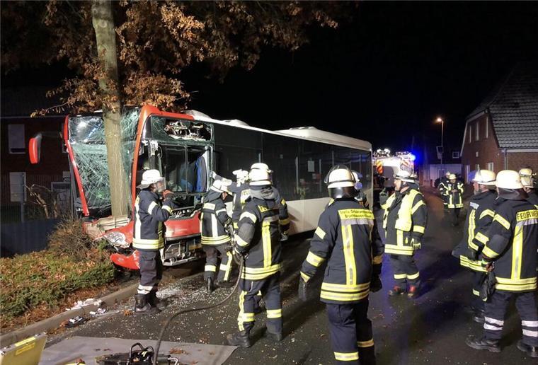 Der Linienbus prallte gegen einen Baum.