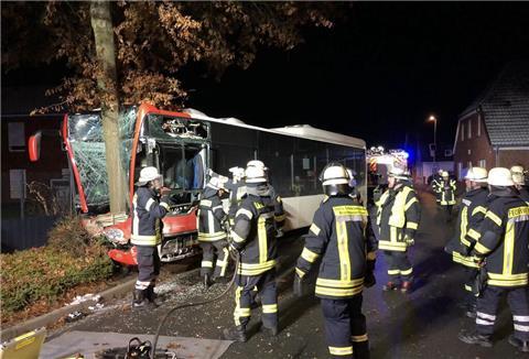 Der Linienbus prallte gegen einen Baum.