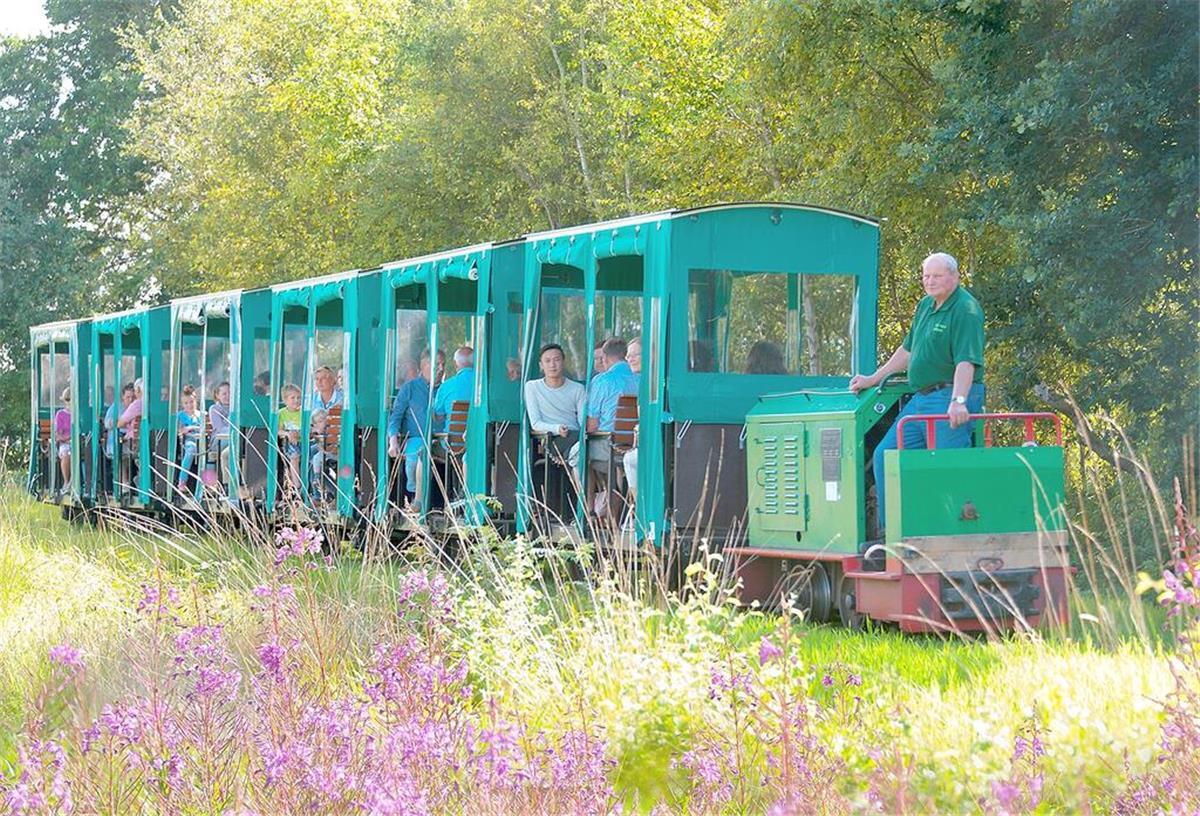 Ahlenmoor: Bahn sucht neue Lokführer Moorbahn