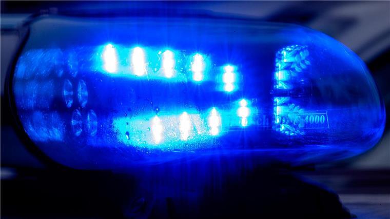 Der Mann sah laut Polizei Herdenschutzhunde auf einem Deich. (Symbolbild)