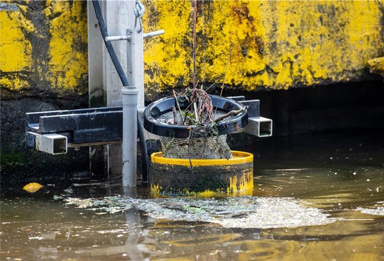 Diese schwimmenden Mülleimer befreien Häfen von Plastik Ein Meeresmülleimer sammelt Abfall ein.
