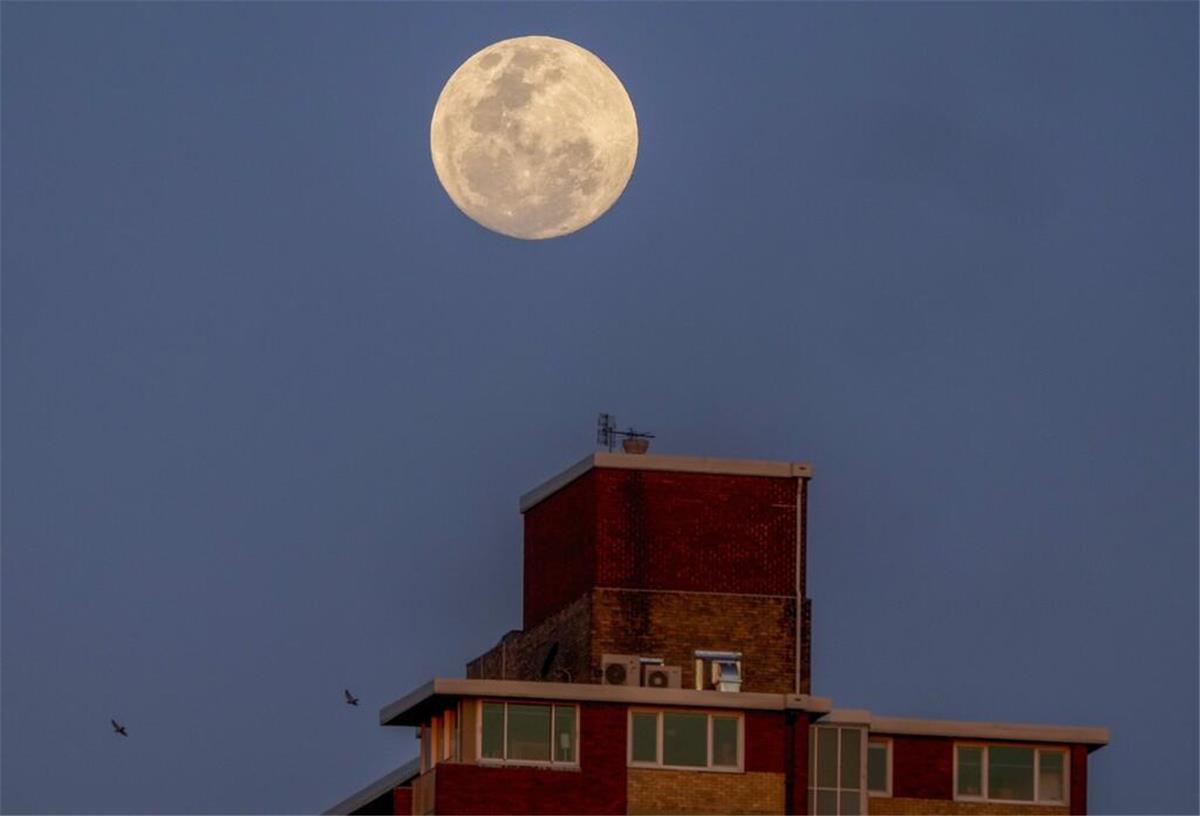 Der Mond geht über einem Wohnhochhaus in Sydney auf.