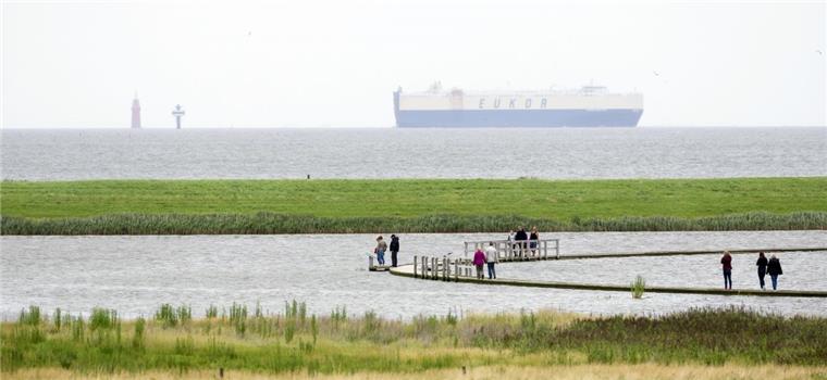 Der Naturerlebnispfad durch den Langwarder Groden in Butjadingen ist nominiert als Deutschlands schönster Wanderweg. Internetnutzer können ab 1. Februar darüber abstimmen.
