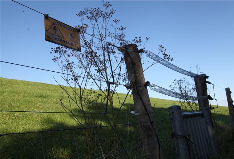 Der neu ertüchtigte, 18 Kilometer lange Wolfszaun am Weserdeich in den Gemeinden Loxstedt und Hagen soll die Schafe vor dem Wolf schützen.