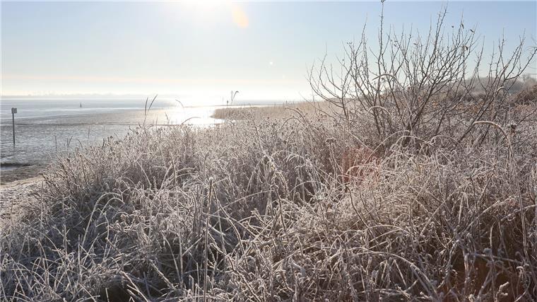 Der Nordenhamer Strand im winterlichen Morgenlicht.