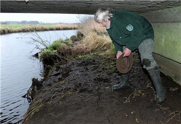 Der Otter-Spezialist und Umweltschützer Hermann Kück sucht am unter einer Brücke über die Lune bei Beverstedt nach Spuren von Fischottern. Der seit dem Ende der 1970er Jahre vom Aussterben bedrohte Fischotter hat hier, auf dem Gelände einer ehemaligen Kläranlage im Bereich der Lune eine neue, artgerechte Heimat gefunden. Foto Wagner