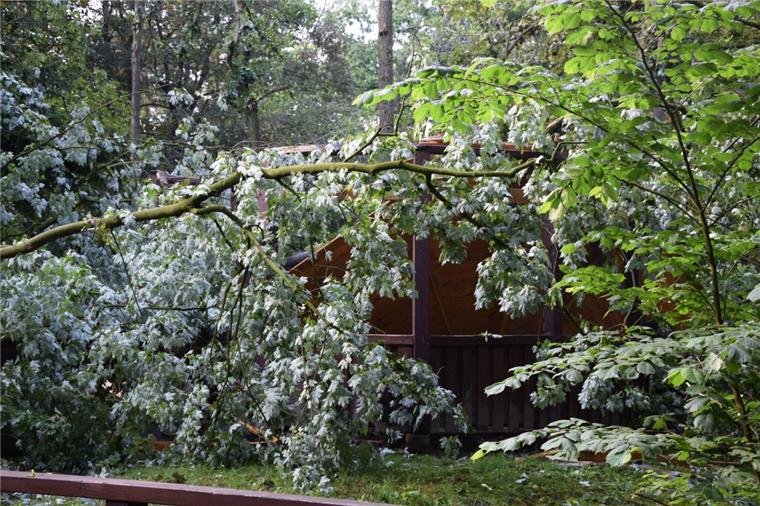 Nordenham: Friedeburg-Pavillon von Baum zerstört Der Pavillon im Friedeburgpark ist durch einen umgekippten Baum beschädigt worden.