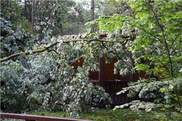 Der Pavillon im Friedeburgpark ist durch einen umgekippten Baum beschädigt worden.