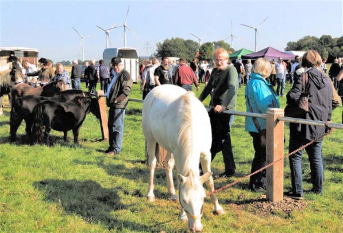 Ovelgönner Pferdemarkt lockt mit Umzug und Musik Pferde