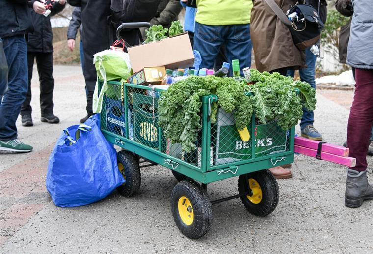 Ein Bollerwagen ist bei einer Kohlfahrt mit Grünkohlblättern und alkoholischen Getränken gefüllt.
